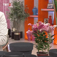 Flower Plant GIF by TRT