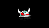 GIF by VV Vikings