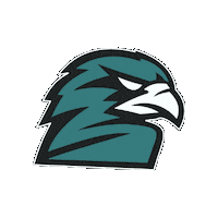 Hawks Sticker by Heights