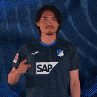 Sport Bundesliga GIF by TSG Hoffenheim