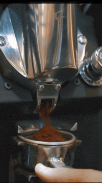 GIF by morning