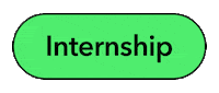 Intern Internship Sticker by Bloomberg LP
