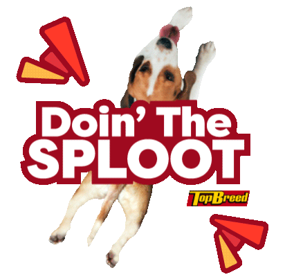 UniversalRobinaCorporation giphyupload doggo pupper dogmom Sticker
