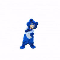 Sharebear GIF by SHARE Society