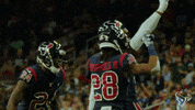 National Football League GIF by Houston Texans