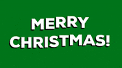 Christmas GIF by Squirrel Monkey