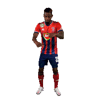 Vidi Sticker by MOL Fehérvár FC
