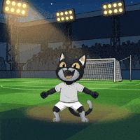 Excited Lets Go GIF by CATBAT
