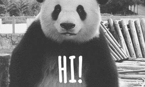 happy panda GIF