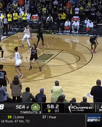 Womens Basketball Sport GIF by WNBA