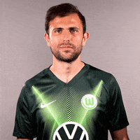 Admir Mehmedi Reaction GIF by VfL Wolfsburg