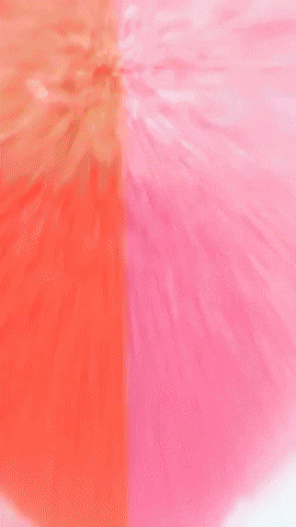 Cookierun GIF by Youtooz