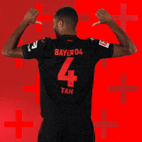 Bayer 04 Football GIF by Bayer 04 Leverkusen