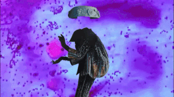 Digital Collage Glitch GIF by Gisela Guzmán