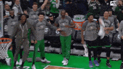GIF by NBC Sports Boston
