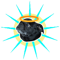 JasonKauz pug pepe pepethepug pugangel Sticker