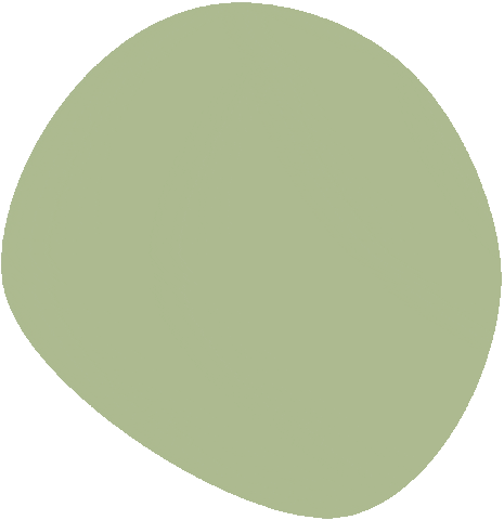 Design Color Sticker