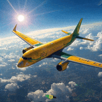 Take Off Fly GIF by Nova Sound