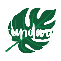 Happy Sunday Hello Sticker