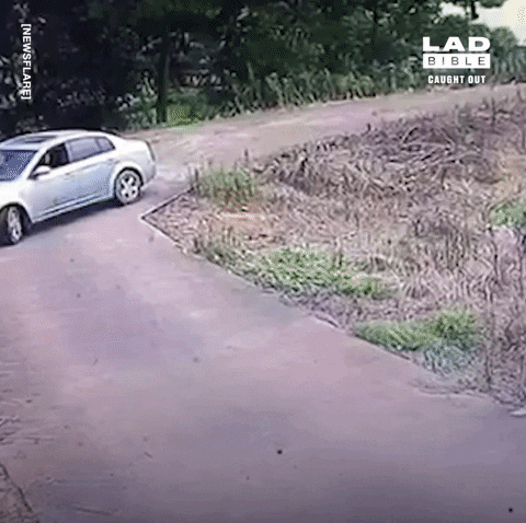 yj_jane giphygifmaker GIF