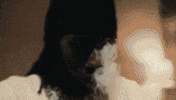 Fatt GIF by FattMack