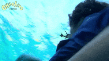 No Way Lol GIF by CBeebies HQ