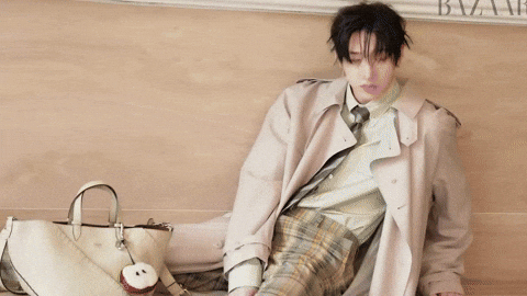 Stray Kids Chan GIF