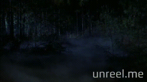 thom mathews horror GIF by Unreel Entertainment