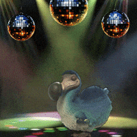Happy Party GIF by Dodo Australia