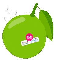Fruit Veg Sticker by Citrus