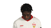 Look Up Vfb Stuttgart Sticker by Bundesliga