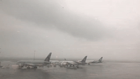Flights From Auckland Airport Cancelled Due to Intense Lightning Storm