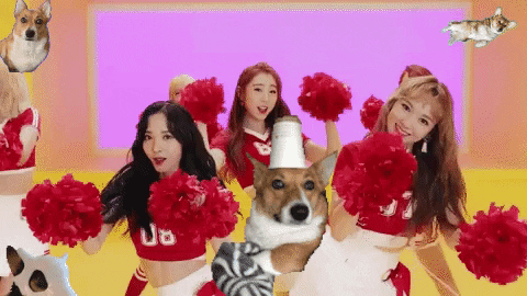 Cheerleaders GIF by nikvi