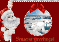 Polar Bear Love GIF