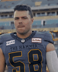 Tiger-Cats Ticats GIF by Hamilton Sports Group