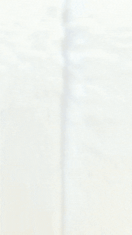 Freddy Bonnie GIF by Youtooz