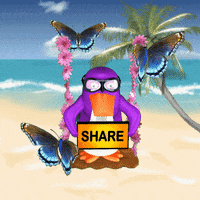Sea Share GIF