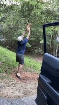 Kitty Saved But Savior Slips GIF by ViralHog
