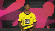 Borussia Dortmund Love GIF by Bundesliga