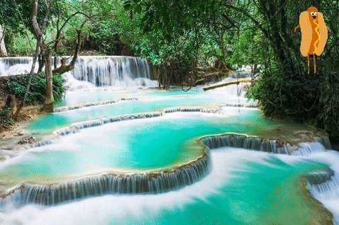 diiferrygif giphygifmaker giphyattribution travel nature GIF