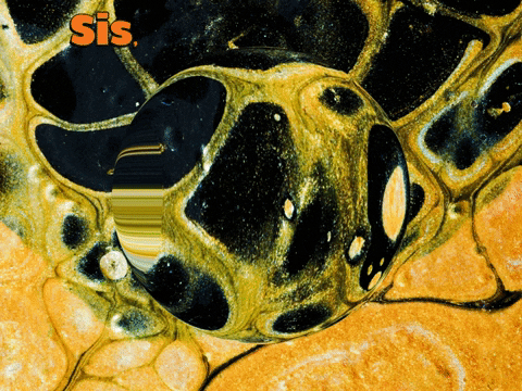 Germany Wow GIF by FranchiseCHECK.de