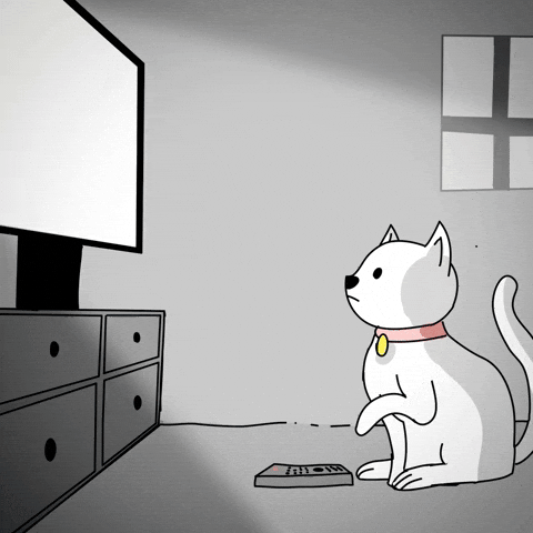 Watch Netflix Cat GIF by CC0 Studios