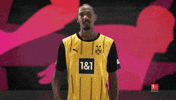 Borussia Dortmund Hello GIF by Bundesliga
