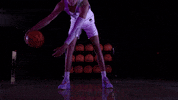 Dribble GIF by Tommie Athletics