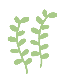 Plant Leaves Sticker