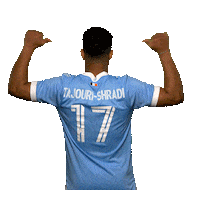 New York City Fc Reaction Sticker by NYCFC