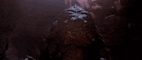 test GIF by RHUBER