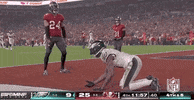 Tampa Bay Buccaneers Football GIF by NFL