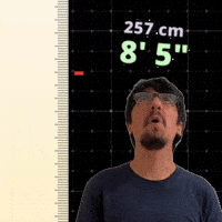 8' 5"
