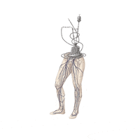 pin up stop motion GIF by kayankwok